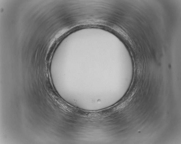 X0000071850974200607290128