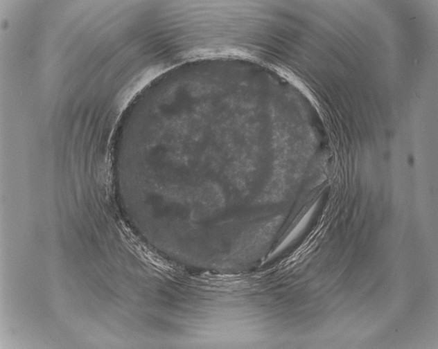 X0000071850975200607290128