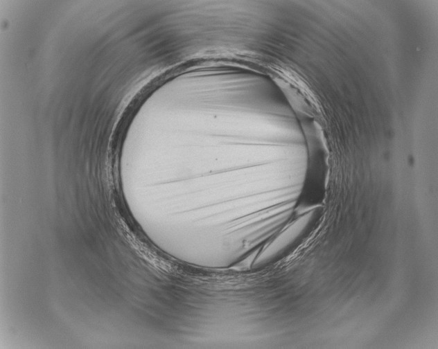 X0000071850976200607290128