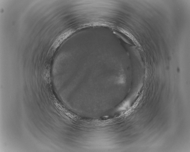 X0000071850977200607290128