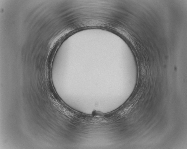 X0000071850979200607290128