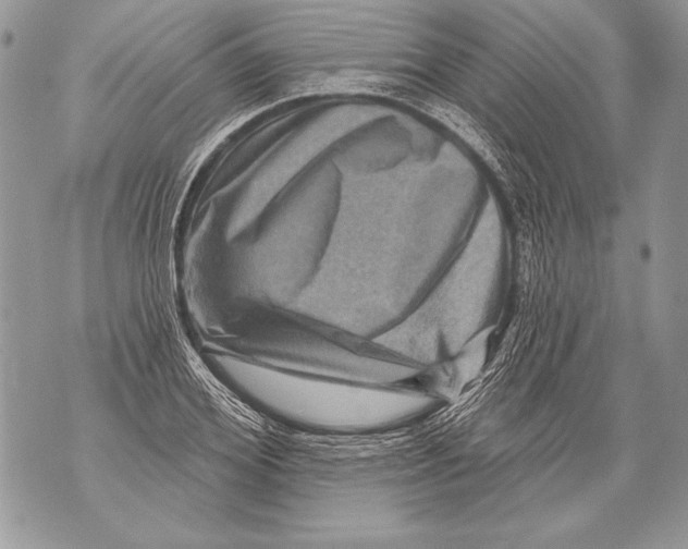 X0000071850980200607290128