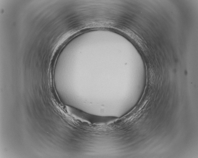 X0000071850982200607290128