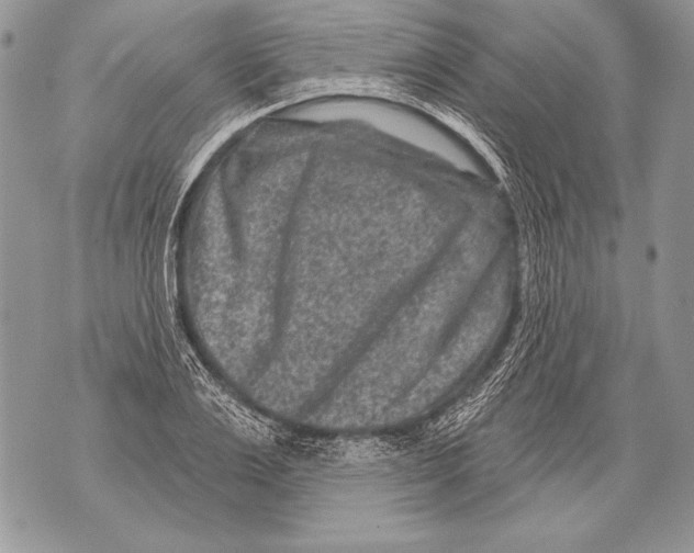 X0000071850983200607290128