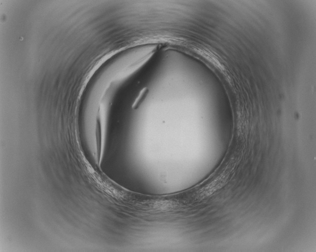 X0000071850984200607290128