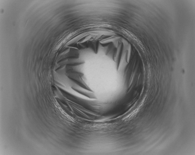 X0000071850985200607290128