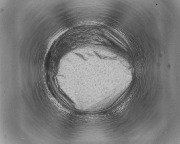 X0000071850987200607290128