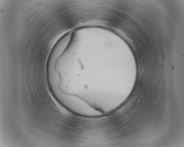 X0000071850988200607290128