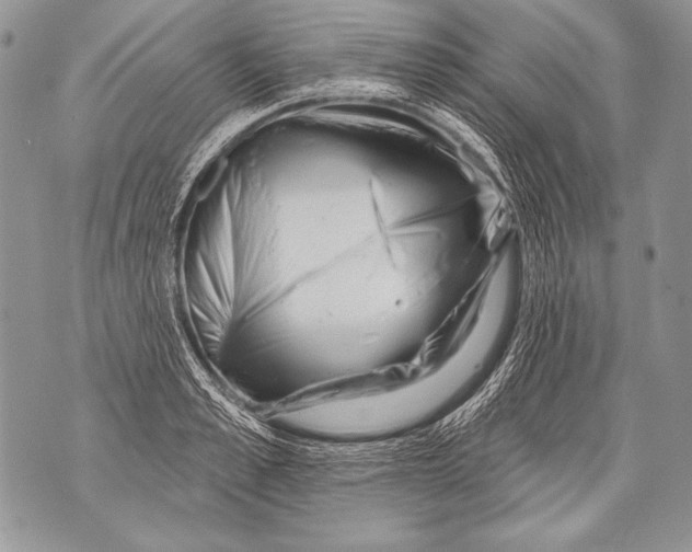 X0000071850989200607290128