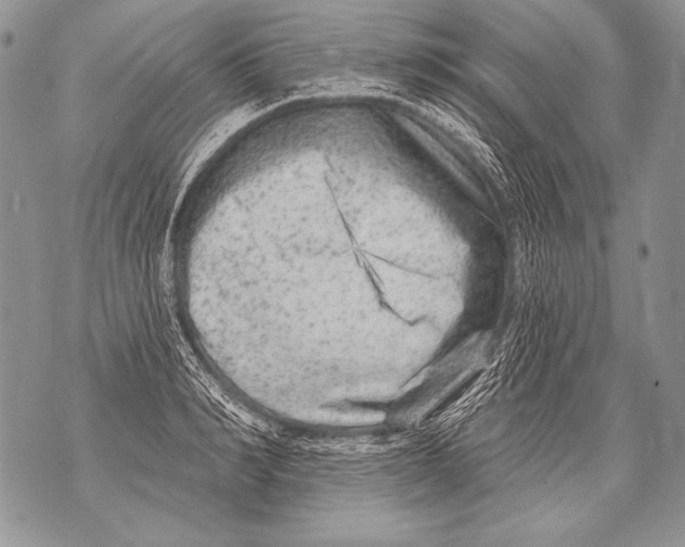 X0000071850990200607290128