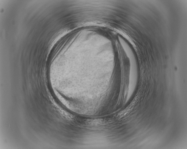 X0000071850991200607290128