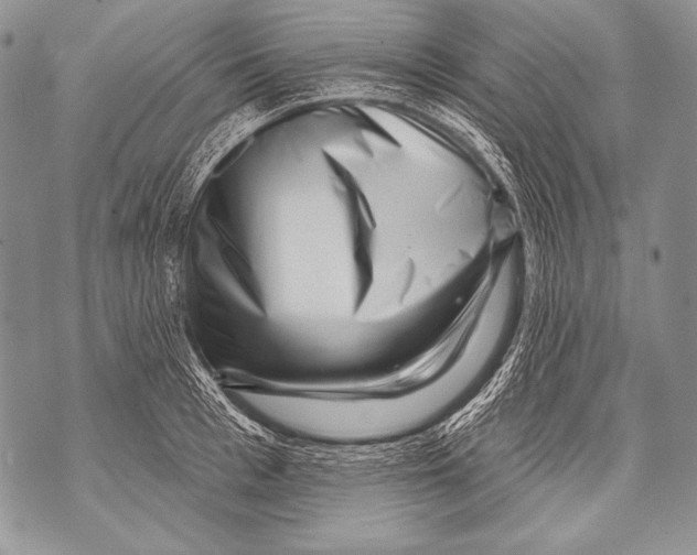 X0000071850993200607290128