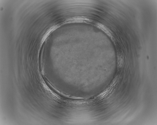 X0000071850994200607290128