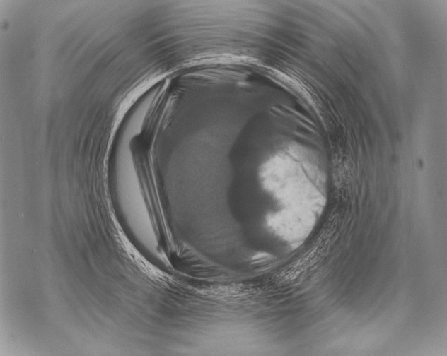 X0000071850995200607290128