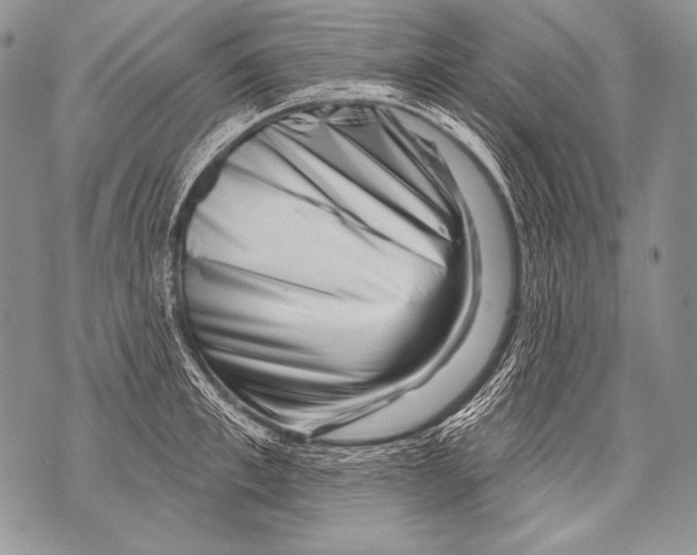 X0000071850997200607290128