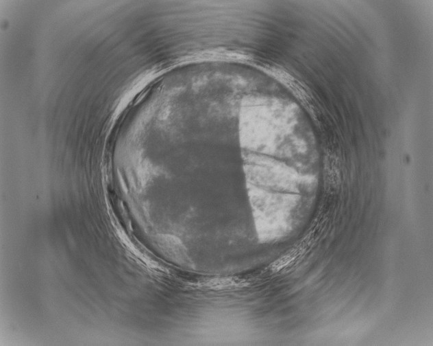 X0000071850998200607290128