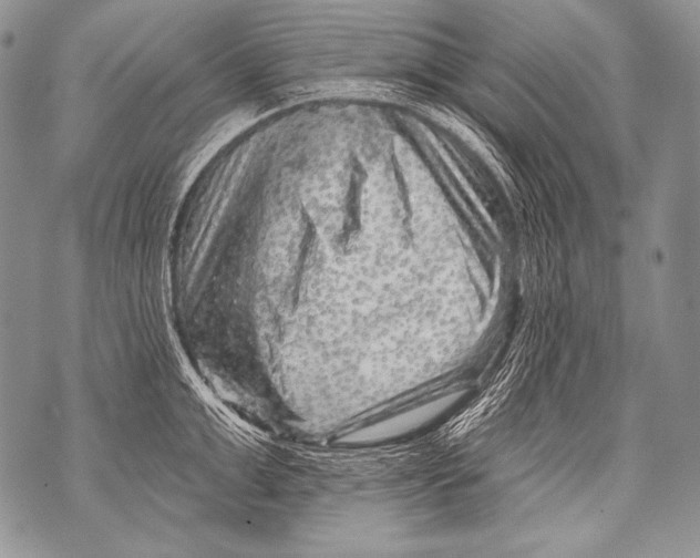 X0000071850999200607290128