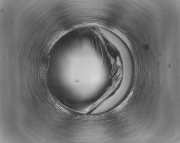 X0000071851001200607290128