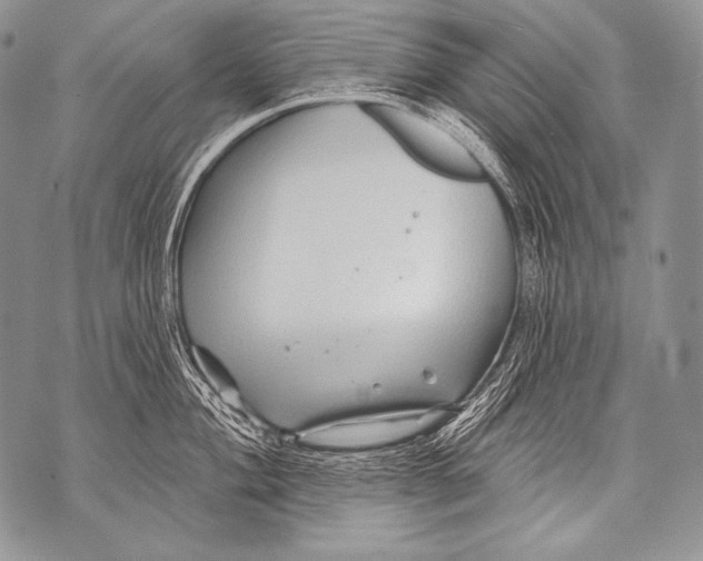 X0000071851004200607290128