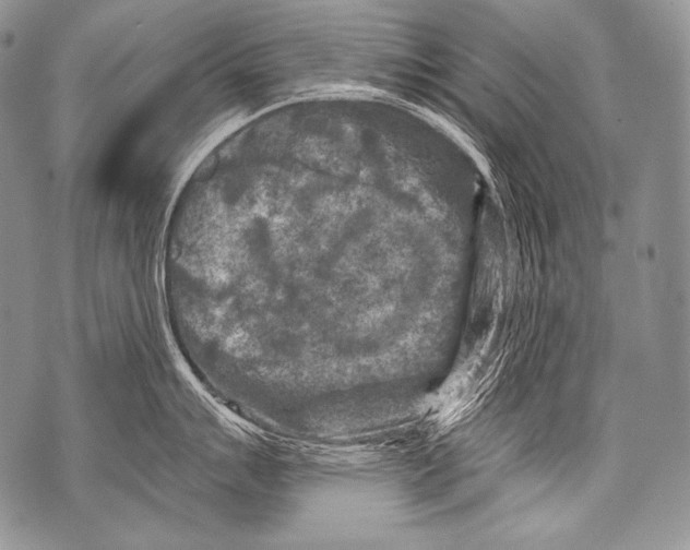 X0000071851007200607290128