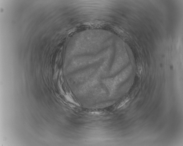 X0000071851010200607290127