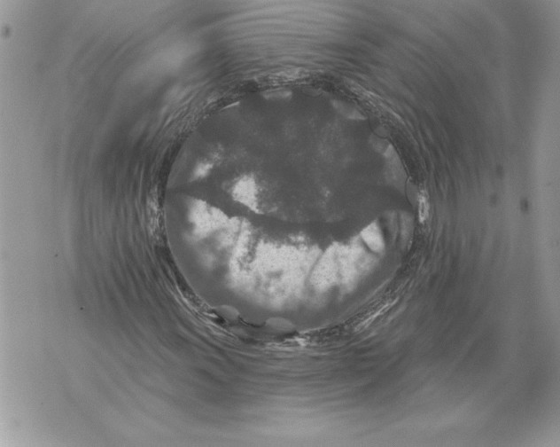 X0000071851011200607290127