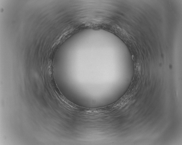 X0000071851012200607290127