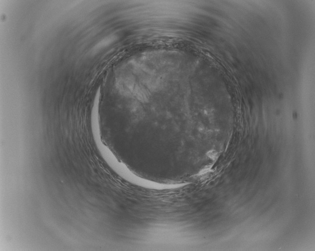 X0000071851013200607290127