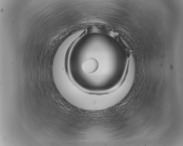 X0000071851014200607290127