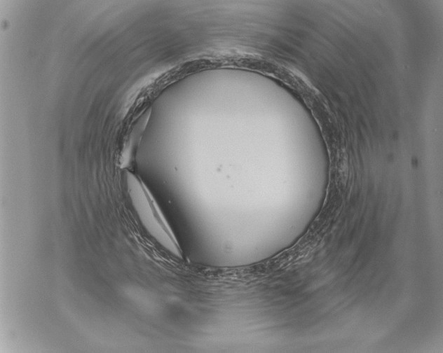 X0000071851016200607290127