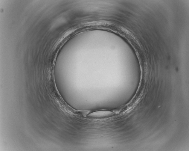 X0000071851017200607290127