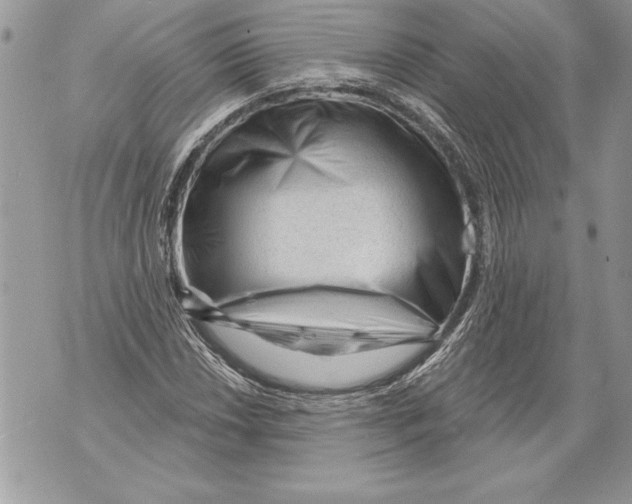 X0000071851018200607290127