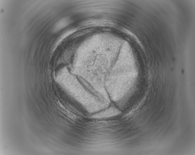 X0000071851019200607290127