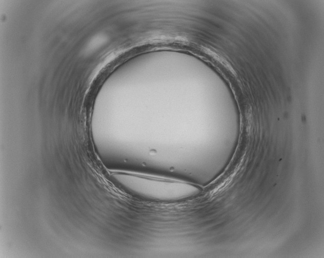 X0000071851021200607290127