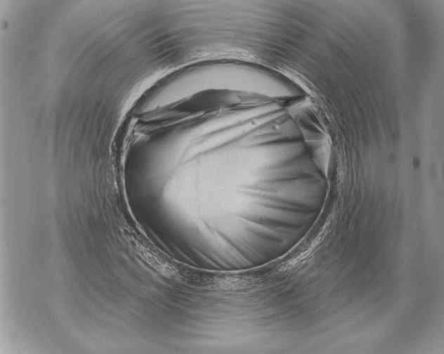 X0000071851022200607290127