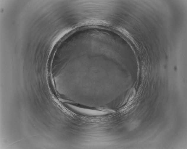 X0000071851024200607290127