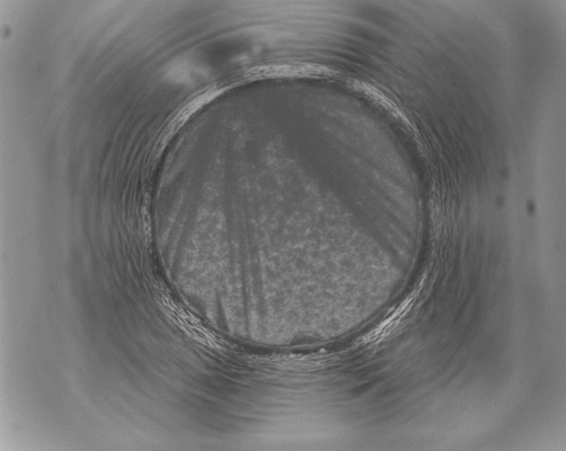 X0000071851025200607290127