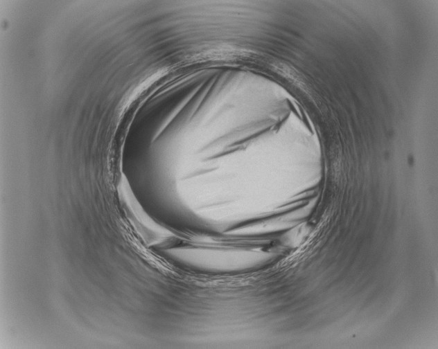 X0000071851026200607290127