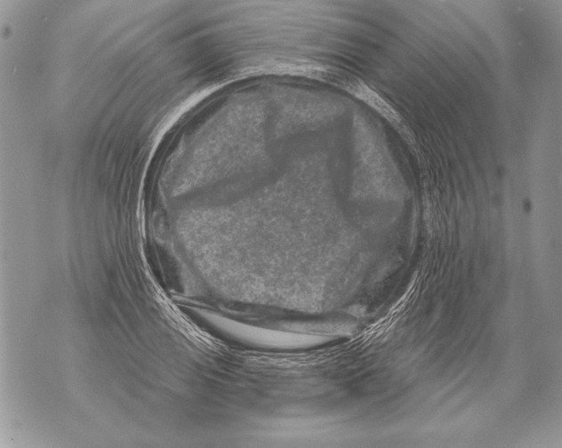 X0000071851028200607290127