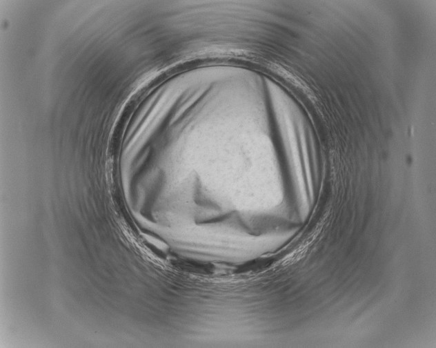 X0000071851029200607290127