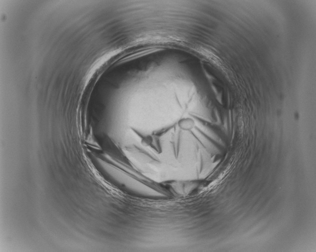 X0000071851030200607290127