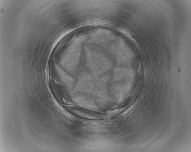 X0000071851032200607290127