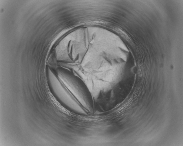 X0000071851036200607290127