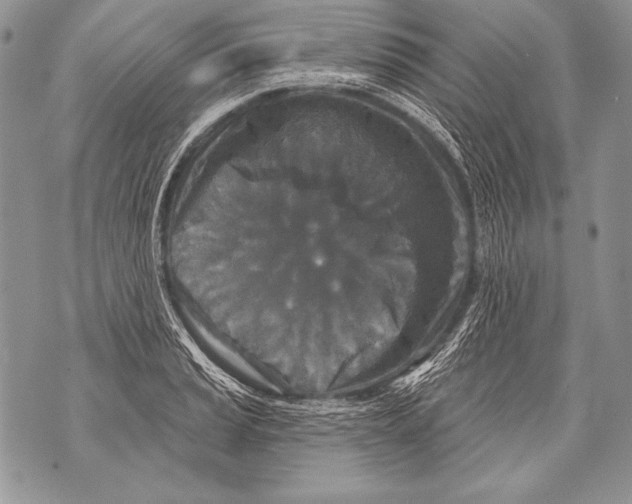 X0000071851037200607290127