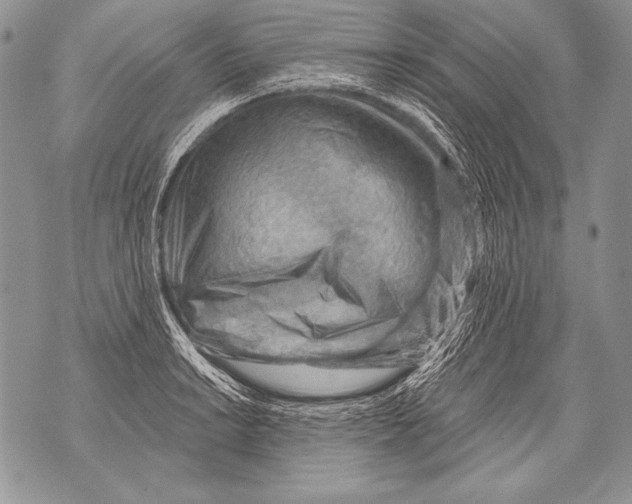 X0000071851038200607290127