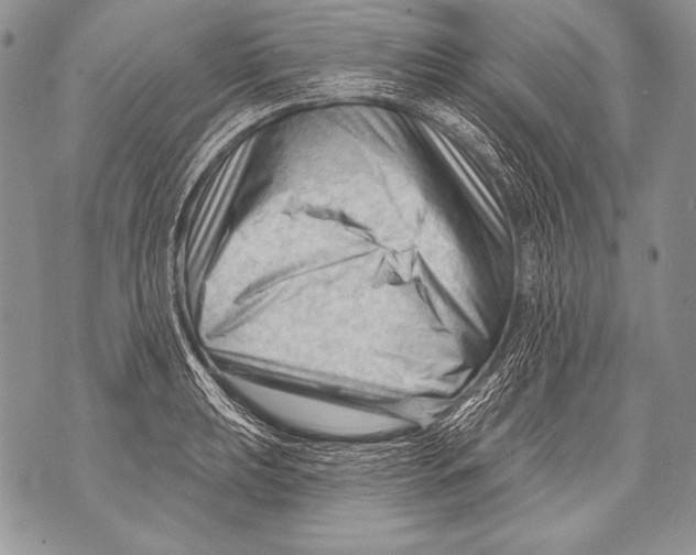 X0000071851039200607290127