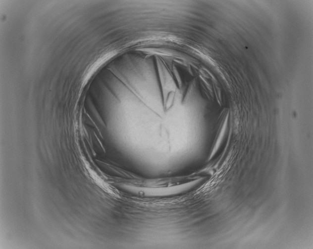 X0000071851042200607290127