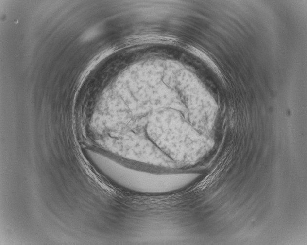 X0000071851043200607290127