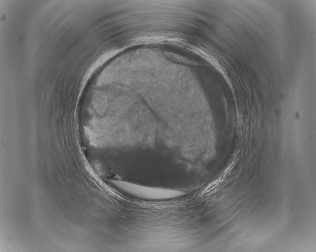 X0000071851045200607290127