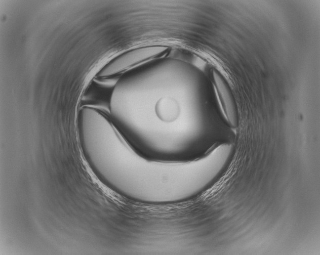 X0000071851046200607290127